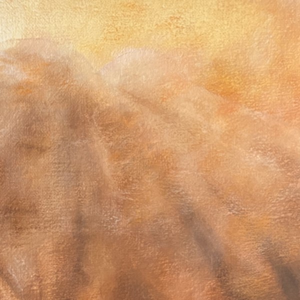 Red Rhino Detail (600 x 600)
